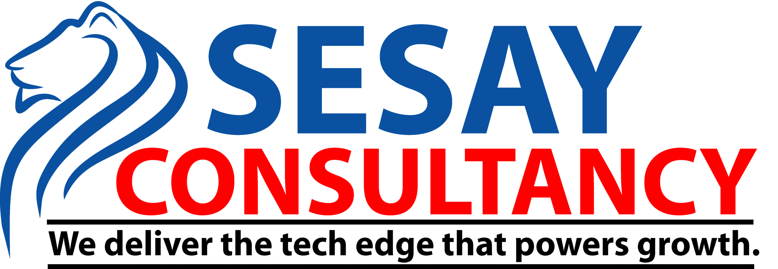 SESAY CONSULTANCY