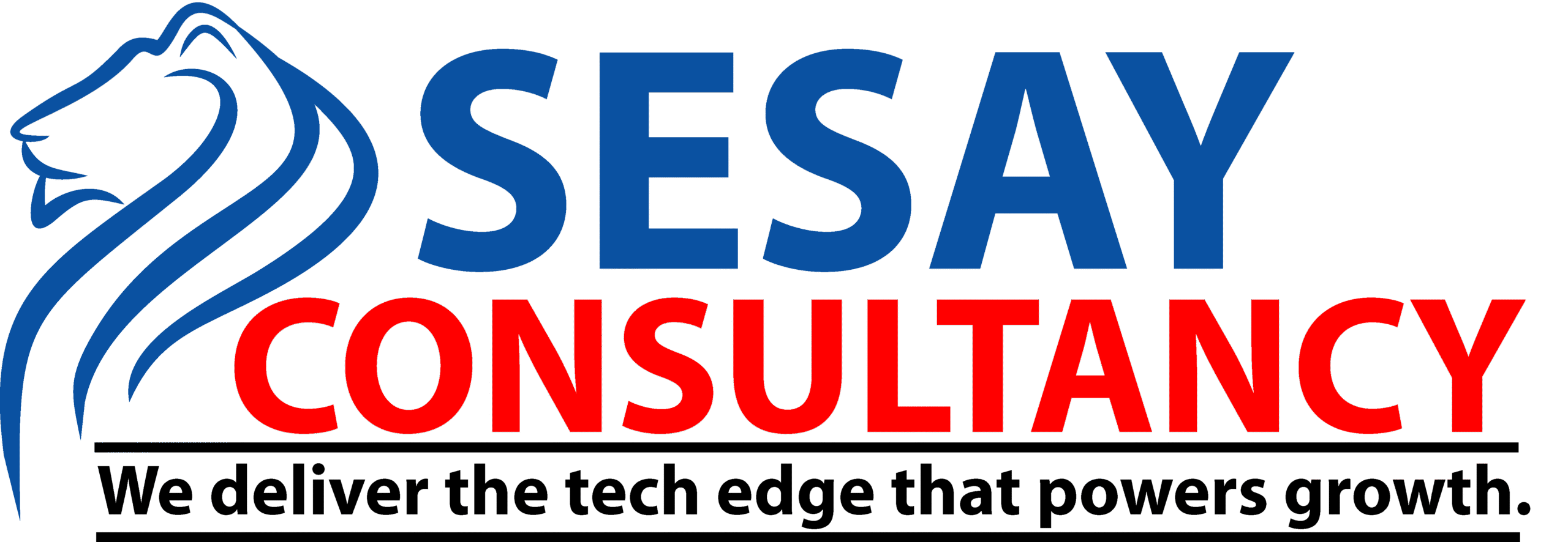 SESAY CONSULTANCY